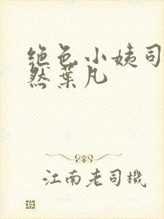 绝色小姨司空嫣然叶凡