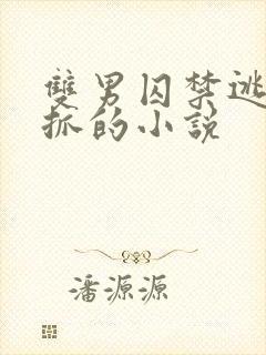 双男囚禁逃跑被抓的小说