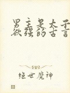 男主是太子占有欲强的古言