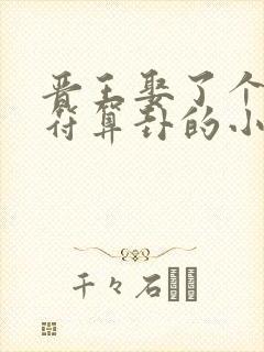 晋王娶了个会画符算卦的小王妃小说免费阅读