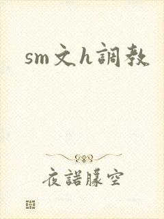 sm文h调教