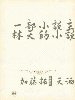 一部小说主角叫林天的小说