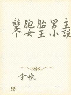 双胞胎男主和一个女主小说