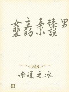 女主秦臻男主姓裴的小说