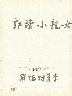 郭靖小龙女h封面