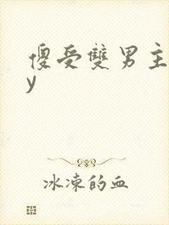 傻受双男主文by