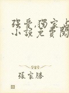 强爱,独家占有小说免费阅读无弹窗