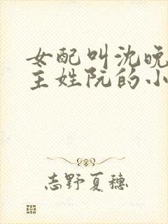 女配叫沈晚月女主姓阮的小说