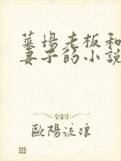 菜场老板和新婚妻子的小说阅读