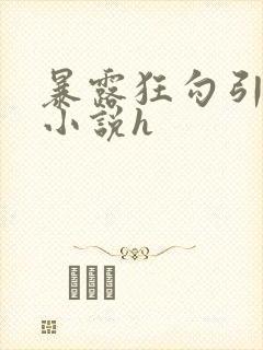 暴露狂勾引短篇小说h