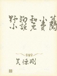 野狗和小荔枝的小说免费阅读全文