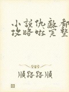 小说仇敌都被我攻略啦完整版未删减小说