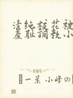 清纯校花被民工羞耻调教小说