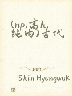 (np,高h,纯肉)古代
