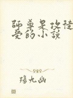 师尊是攻徒弟是受的小说