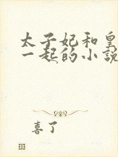 太子妃和皇上在一起的小说