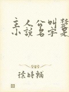 主人公叫楚枫的小说名字是什么