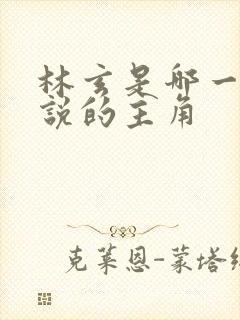 林玄是哪一本小说的主角