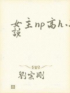 女主np高h小说