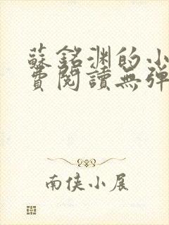 苏铭渊的小说免费阅读无弹窗