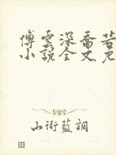 傅云深乔若桑的小说全文免费阅读