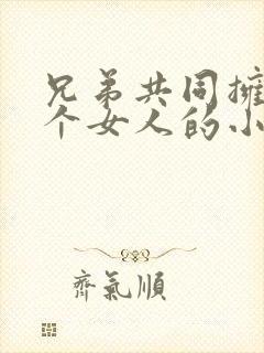 兄弟共同拥有一个女人的小说封面