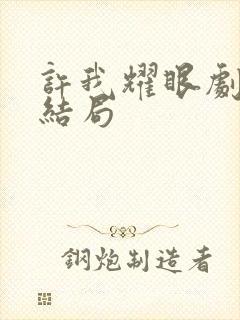 许我耀眼剧情大结局封面