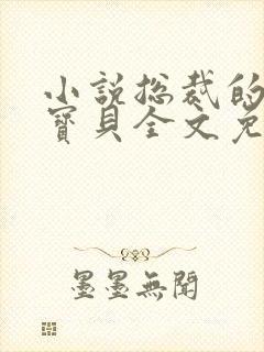 小说总裁的私有宝贝全文免费阅读