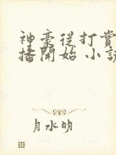 神豪从打赏女主播开始 小说