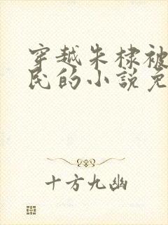 穿越朱棣被贬农民的小说免费阅读