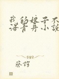 我的娘子不对劲洛青舟小说