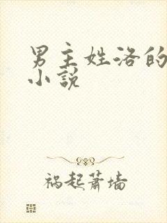 男主姓洛的总裁小说封面