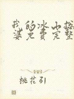 我的冰山总裁老婆免费完整版封面