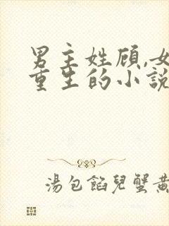 男主姓顾,女主重生的小说