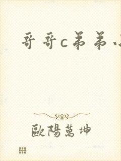 哥哥c弟弟小说封面