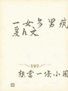 一女多男疯狂做爰h文封面