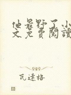 他最野了小说全文免费阅读无弹窗