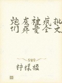 炮灰被疯批男主们疼爱全文免费阅读封面