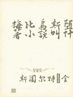 梅比乌斯堕落原著小说叫什么名字封面