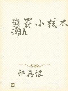 惩罚小核不停高潮h