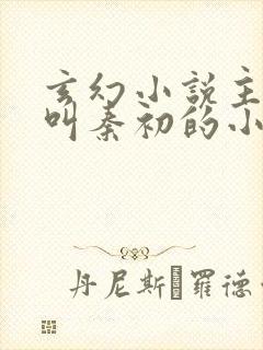 玄幻小说主人公叫秦初的小说封面