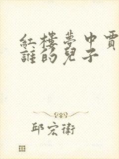 红楼梦中贾珍是谁的儿子