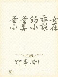 爸爸的乖女儿林小喜小说在线阅读