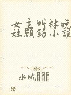 女主叫林晚男主姓顾的小说