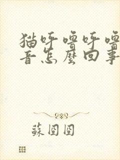 猫呼噜呼噜的声音怎么回事封面