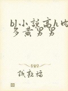 bl小说高h肉多黄男男封面