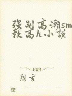 强制高潮sm调教高h小说