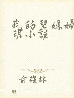 我的儿媳妇是苏玥小说