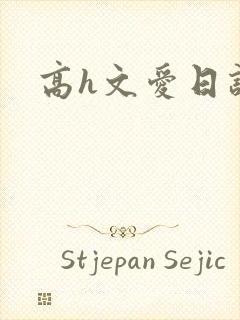 高h文爱日记封面