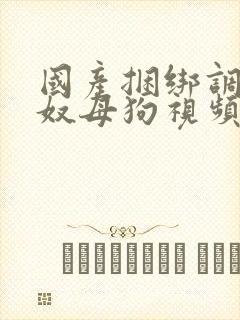 国产捆绑调教女奴母狗视频